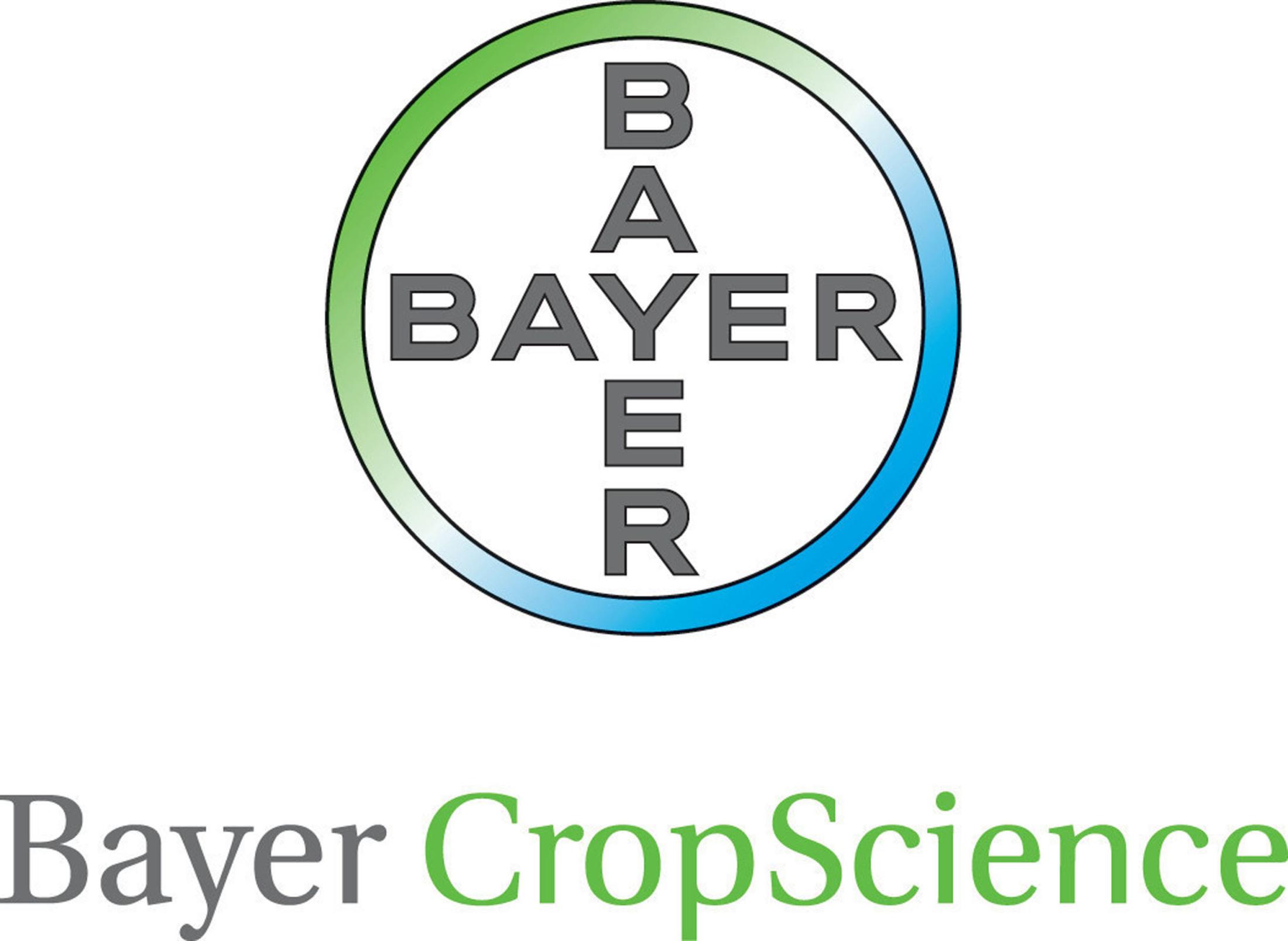 b logo