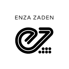 EZ logo