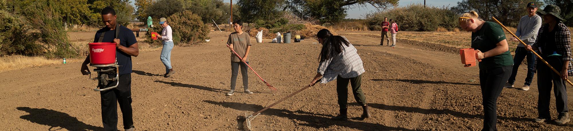 Students helping to seed a plot of land in Winters.